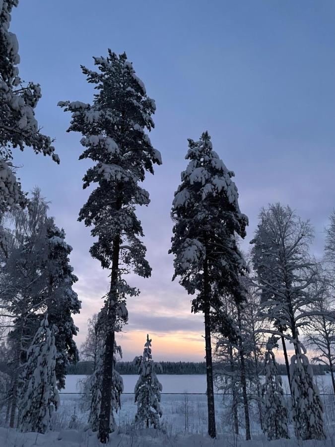 Vila Rieskapaikka Koivu Exteriér fotografie