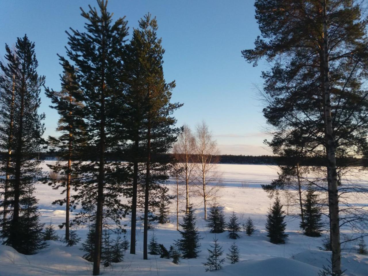 Vila Rieskapaikka Koivu Exteriér fotografie